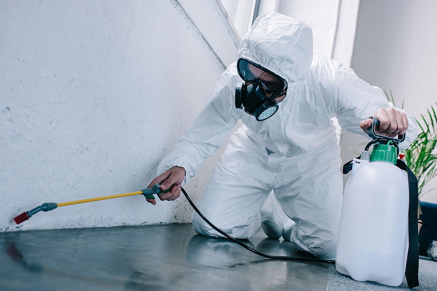 Pest Control Services